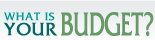 Web Design Budget Package